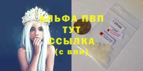 крисы Алзамай