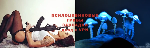 крисы Алексин