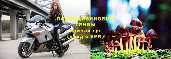 крисы Алзамай