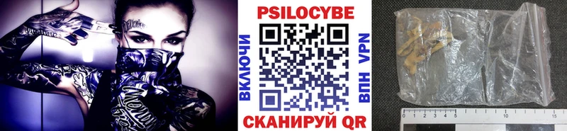 дарк нет клад Усть-Кут Псилоцибиновые грибы прущие грибы
